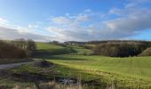 Trail Walking Houyet - Celles Walzin Furfooz Veves Celles - Photo 1