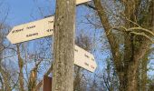 Trail Walking Herent - S-GR Dijleland : Veltem - Tervuren - Photo 8