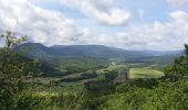 Tour Wandern Dambach - Dambach-la-Ville : Circuit des trois châteaux - Photo 20