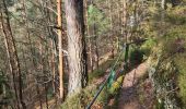 Excursión Senderismo Lutzelbourg - Sentier des Roches et vallée des éclusiers - Photo 16