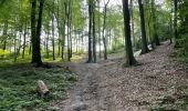 Trail Walking Vivières - en Forêt de Retz_88_autour du Regard Saint-Hubert et du Rond de la Reine - Photo 10