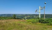 Randonnée Marche Stoumont - La Mont des Brumes - Photo 12