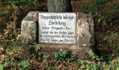 Excursión A pie Desconocido - Rundwanderweg Heidelberg Turnerbrunnen 4: Holdermannseiche-Weg - Photo 9