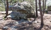 Tocht Stappen Fontainebleau - Fontainebleau sentier Denecourt 7 ouest prolongé  - Photo 17