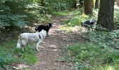 Tour Wandern Léglise - Bombois mini - Photo 8