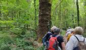 Trail Walking Magnac-sur-Touvre - La balade d'Antornac - Photo 3