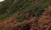 Excursión Senderismo Champeaux - les falaises de Carolles - Champeaux - Photo 12