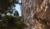 Tocht Stappen Évenos - Cap Gros et tour des Quatres Auros - Photo 4