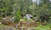 Tour Wandern Chamonix-Mont-Blanc - J9 - Petit Balcon Sud : Les Praz de Chamonix - Argentière - Photo 6