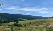 Trail Horseback riding Orbey - Orbey- Sainte Marie aux mines - Photo 9