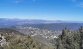 Excursión Senderismo Fréjus - Mont Vinaigre  - Photo 6