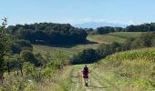 Trail Walking Susmiou - GR 65 Navarrenx > Lichos - Photo 11