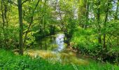 Tour Wandern Braives - De Fumal à Huccorgne par la vallée de la Mehaigne - Photo 19