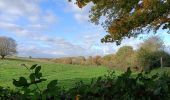 Tour Wandern Heerlen - Klein rondje bos  - Photo 2