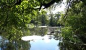 Tour Wandern Saint-Laurent-sur-Sèvre - Rando St Laurent sur Sèvres 15km - Photo 3