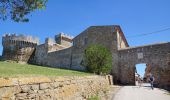 Trail On foot Piombino - IT-300 - Photo 6