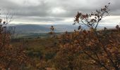 Randonnée Marche Cruis - Jas Neuf, Jas pierrefeu et Jas Roche - Photo 2