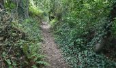 Trail Walking Logonna-Daoulas - Circuit de l'anse de Pen Foul. Logona. 06/07/20 - Photo 8