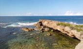 Tour Wandern Le Moule - Anse Petite Savane - Anse à l'Eau 2 - Photo 4