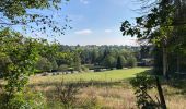 Trail Walking Waimes - Ondenval  - Photo 9