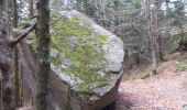 Tocht Noords wandelen Cornimont - tour de la bresse 12-4-2022 - Photo 1