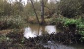 Trail Walking Grez-Doiceau - #221104 - Florival > Pécrot, GRP127 - Photo 4