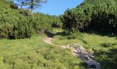 Tour Wandern Wochein - Etape 4 : hut to hut  - Photo 3