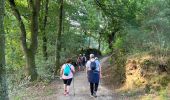 Tour Wandern Sarria - 2022 Camino de Santiago 2 - Photo 1