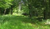 Percorso A piedi Compiègne - en forêt de Compiègne_34_autour du Buissonnet et du Berne - Photo 10