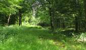Randonnée A pied Compiègne - en forêt de Compiègne_34_autour du Buissonnet et du Berne - Photo 10