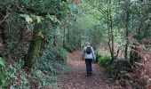 Trail Walking Sulniac - PR_56_Sulniac_AA_01_Ste-Marguerite_Circuit1b_20221111 - Photo 4