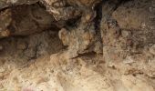 Trail Walking La Ciotat - Grotte des Immigrés  - Photo 4