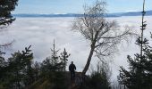 Tour Zu Fuß Eisenkappel-Vellach - Wanderweg 20 - Photo 9