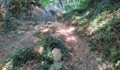 Trail Walking Locronan - La randonnée de Locronan par mes chemins creux  - Photo 3