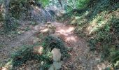 Tocht Stappen Locronan - La randonnée de Locronan par mes chemins creux  - Photo 3