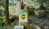 Tour Wandern Ventron - tour dans le Ventron - Photo 3