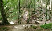Trail Walking Waldbillig - Mullerthal randonnée magnifique - Photo 2