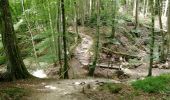 Tour Wandern Waldbillig - Mullerthal randonnée magnifique - Photo 2