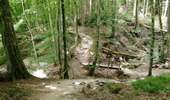 Randonnée Marche Waldbillig - Mullerthal randonnée magnifique - Photo 2