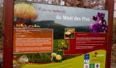 Trail Walking Durbuy - Sur les dessus de Bomal - Photo 7