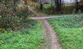 Tour Wandern Aalst - 20221204 Verkenning Moorsel - Photo 6
