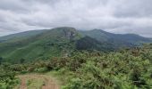 Trail Walking Urrugne - Intzola - Photo 3