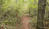 Trail Equestrian Charleville-sous-Bois - Wikiloc - Gondreville - Les secrets des bois - Photo 17