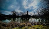 Tocht Wegfiets Équevillon - Equevillon - Ardon - Crotenay - Monet la Ville - Loulle - Photo 2