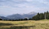 Tour Wandern Morzine - 74-Avoriaz-cretes-belvedere-10km-360 - Photo 6
