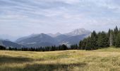 Tocht Stappen Morzine - 74-Avoriaz-cretes-belvedere-10km-360 - Photo 6