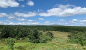 Excursión Bici de montaña Bard - Pierre sur Haute - Photo 1