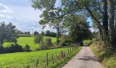 Trail Walking Sprimont - autour de dolembreux  - Photo 15