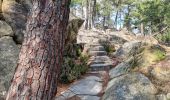 Tocht Stappen Fontainebleau - Fontainebleau sentier Denecourt 7-8 8-8 - Photo 4