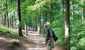 Tour Wandern Ottignies-Louvain-la-Neuve - 2020-05-21 IR226 Rofessart 20 Km de GR Rando - Photo 2